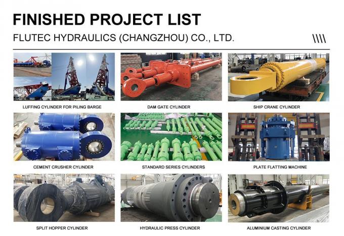 Acero inoxidable maquinaria de ingeniería pequeña cilindro hidráulico hecho a medida 3